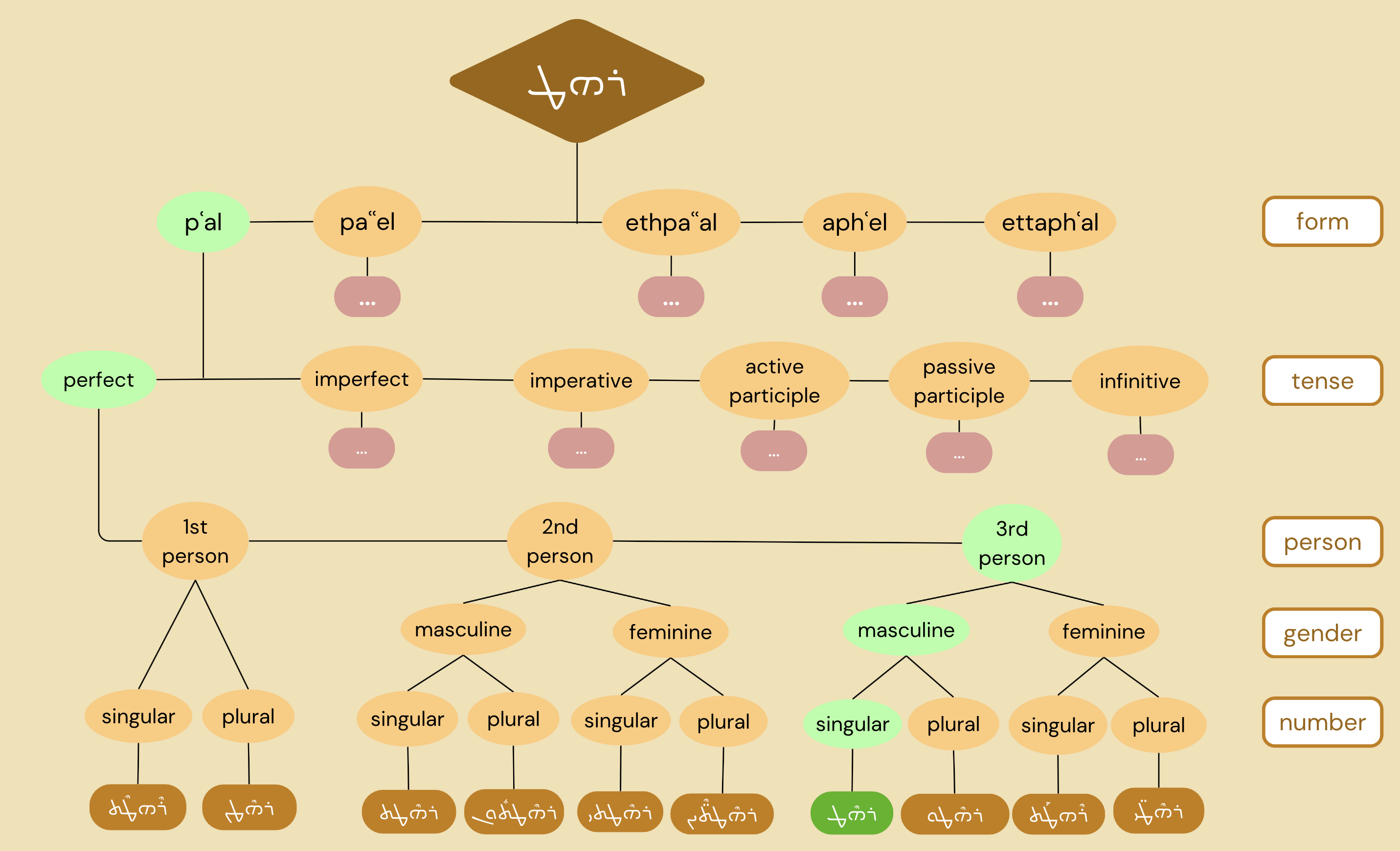 A 5-layer tree diagram highlighting the complexity that goes into constructing a single verb conjugation.